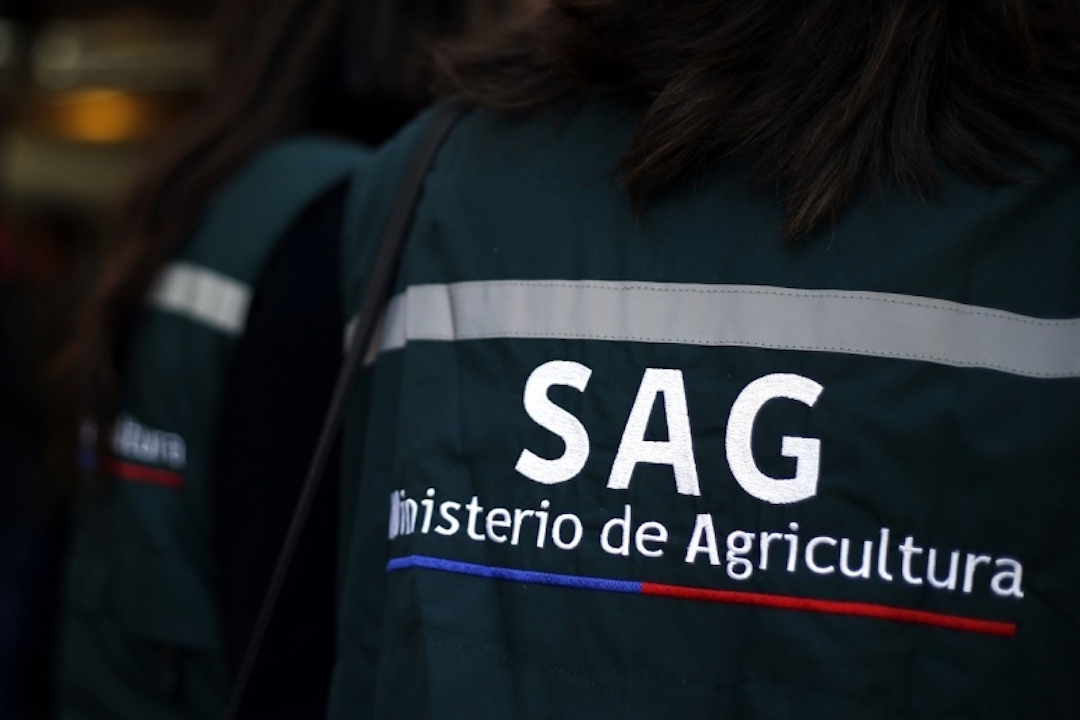 SAG-funcionario-espalda